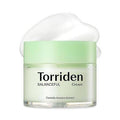 Torriden BALANCEFUL Cream